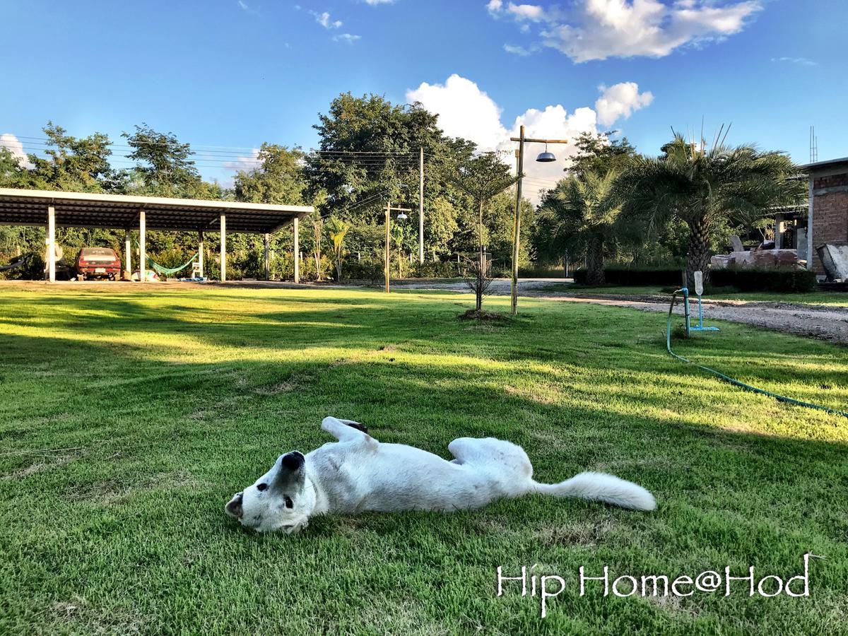 Hip Home At Hod Hot エクステリア 写真